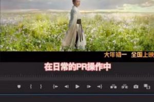 影视后期案例-PR时间线缩放技巧