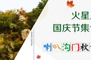 火星人教育全体员工出游原始森林