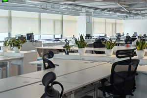 Auto-GPT的5大用例：建网站、当客服、数据分析，无所不能！