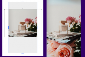 一键AI填充图片边界、改变尺寸，轻松实现Phoshop内容识别功能！