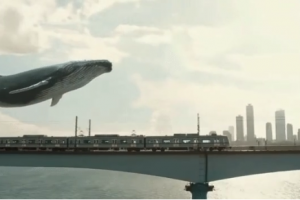 AE有哪些常用的特效 ？