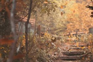 小技巧|场景渲染的小技巧