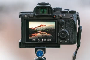 什么是峰值对焦？并且教你怎么使用！