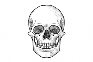 如何画骷髅头