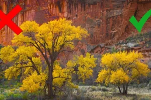 过度编辑照片的 5 个错误案例