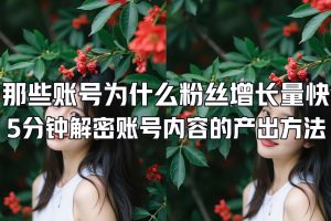 那些账号为什么粉丝增长量快 5分钟解密账号内容的产出方法