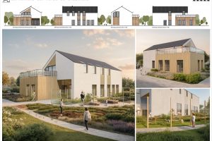 被这猫咪收容所设计暖到！现代简约 + 生态友好，毛孩子的天堂原来长这样