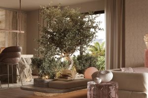 国外顶流室内设计,我在火星人学的