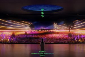 沉浸式数字花海，3D 渲染裹满治愈感