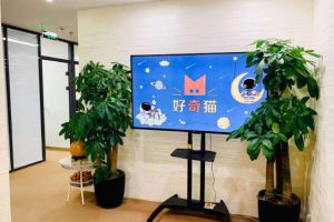 北京好奇猫科技有限公司招聘AIGC设计师 7-8K